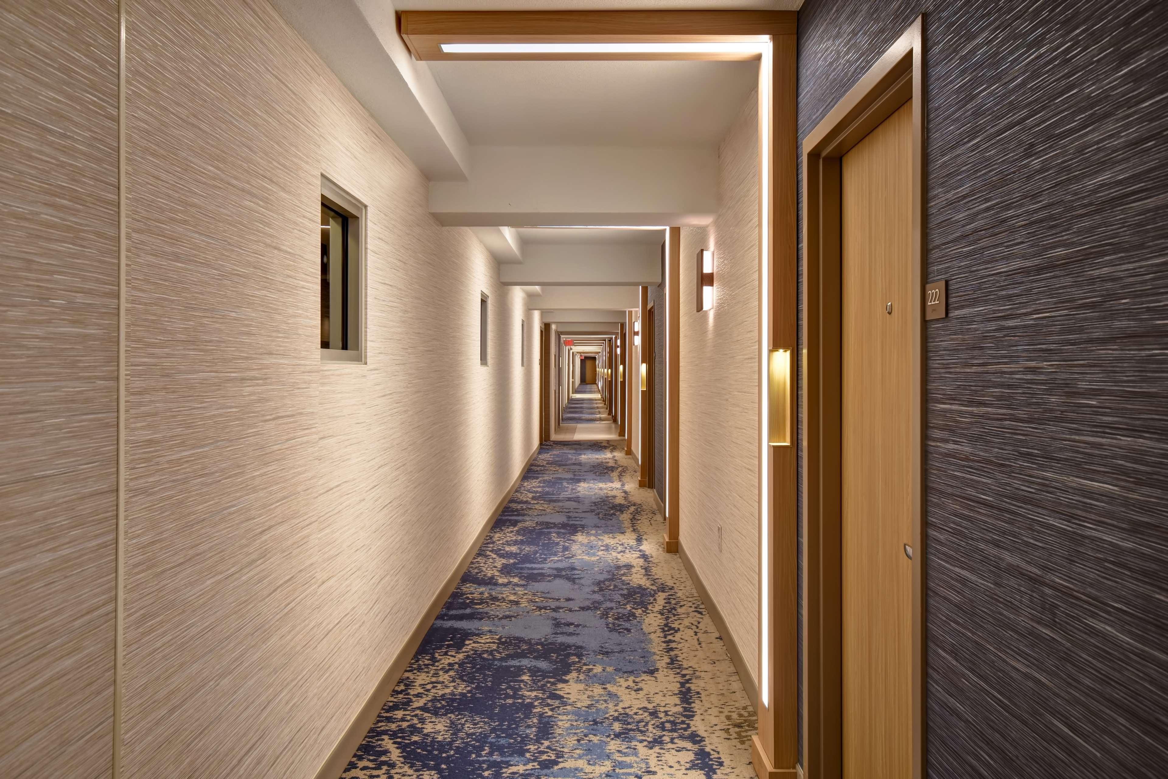 Doubletree By Hilton Oceanfront Вірджинія-Біч Екстер'єр фото